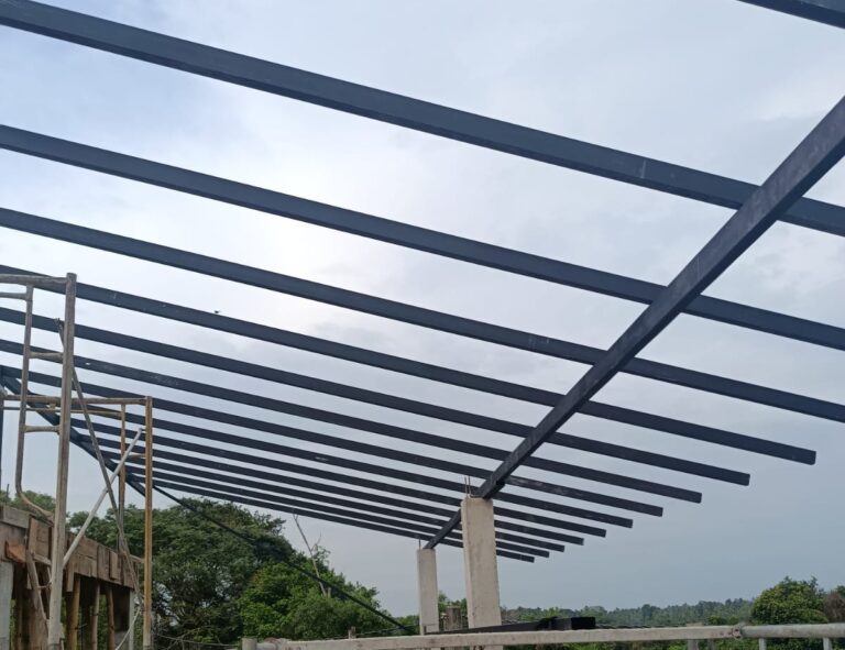 Read more about the article Radhholuwa Project